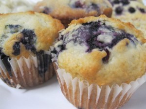 blueberry muffin close up